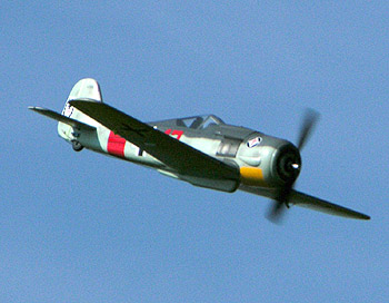 Focke