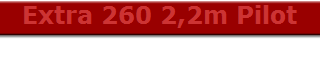 Extra 260 2,2m Pilot